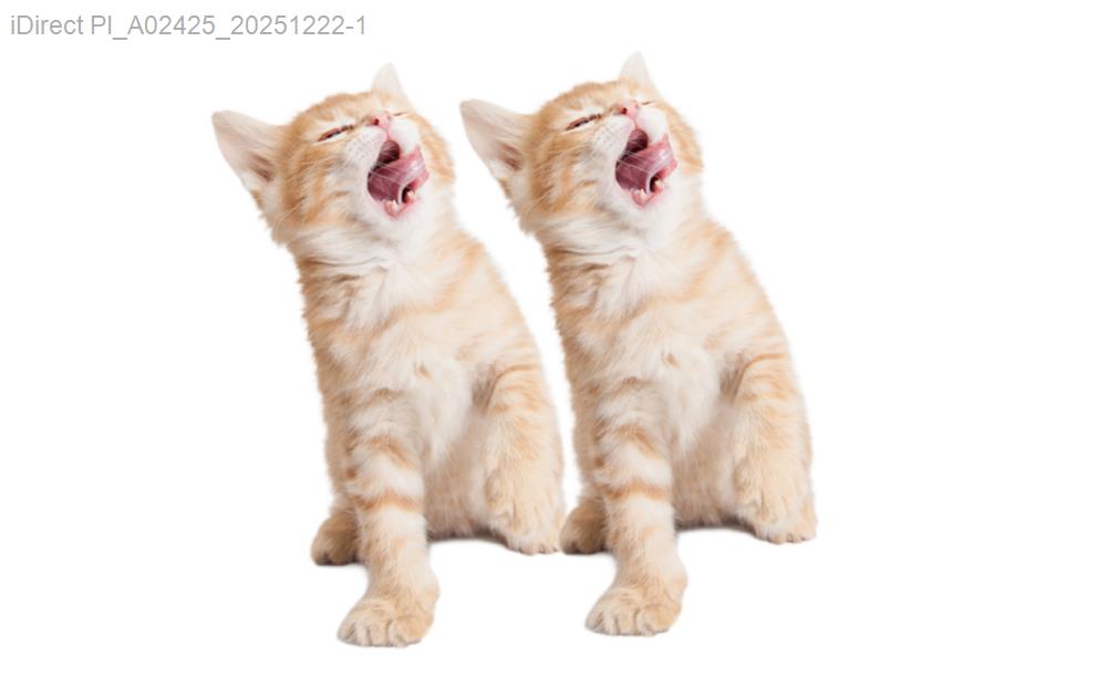 這些新手飼主，為何總能讓狗狗擺脫生活中的小困擾？示意圖